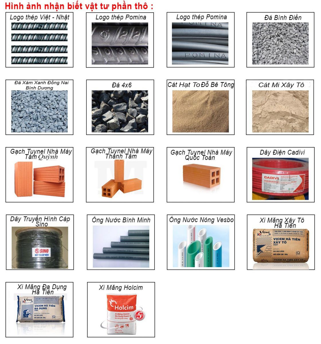 chung loai vat tu phan tho chung loai vat tu phan tho